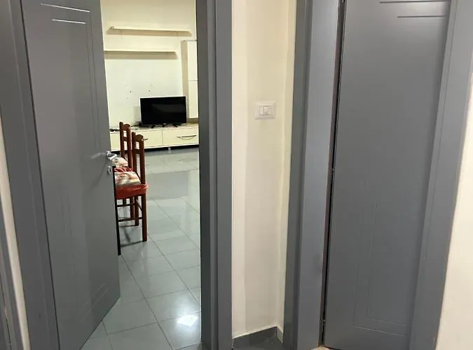 A&x Seagull's Rubedo Tirana